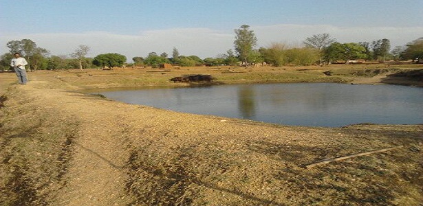 birni-2